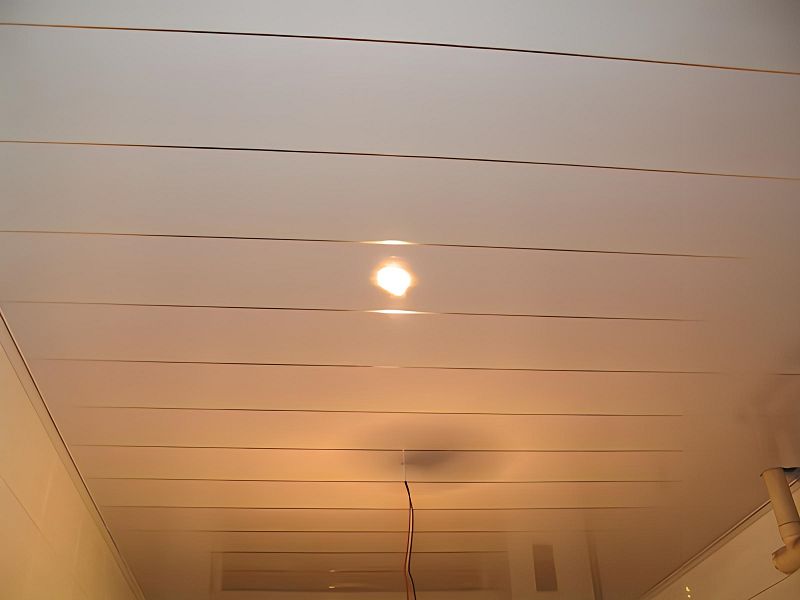 pvc ceiling panel 10001